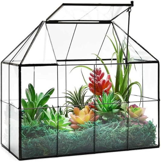 Large Glass Terrarium House Planter – Succulent Plant Glass Greenhouse with lid 9.8"X7.9"X5.9" NA