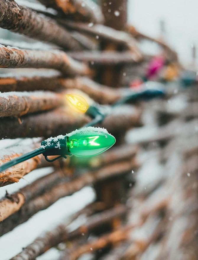 C7 Christmas Lights Outdoor, 25Ft Vintage Christmas String Lights with 27 Multicolor Clear Bulbs, Hanging Christmas Decorations Lights for Roofline House Garden Patio Backyard Party-Green