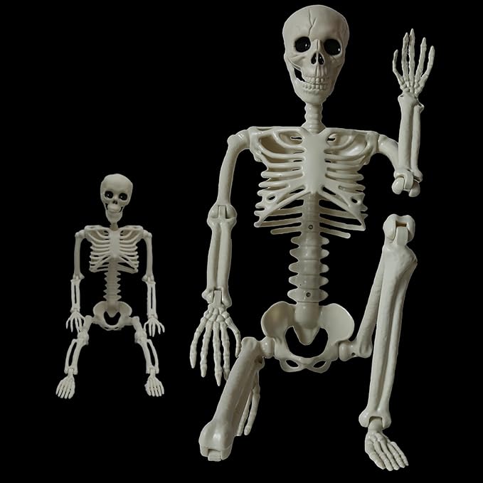 Skeleton Halloween Decorations Outdoor Indoor - 1Pcs 36" 1Pcs 16" Posable Plastic Skeleton,3FT Movable Joints Full Body Bones,Funny Halloween Decor for Party,Porch,Haunted House,Yard, Garden,Graveyard