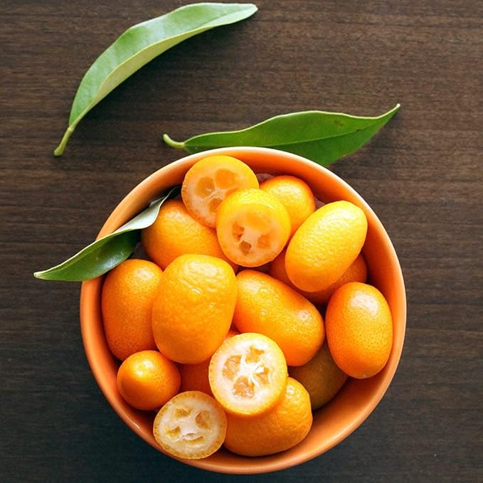 Gardenera's Premium Kumquat Soil Mix - Quick Drain Potting Soil for Growing and Repotting Citrus Japonica - 3 Quart