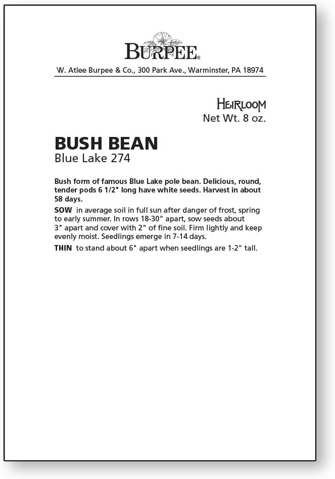 Burpee Blue Lake 274 Bush Bean Seeds 8 ounces of seed