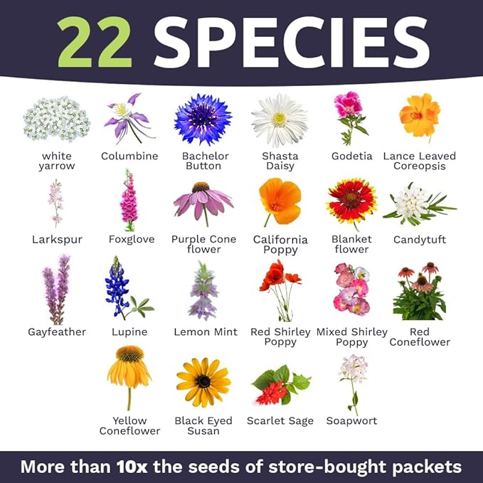 Deer Resistant Wildflower Seed Mixture - Bulk 1/4 Pound Bag - Over 60,000 Deer Tolerant Seeds - Open Pollinated and Non GMO