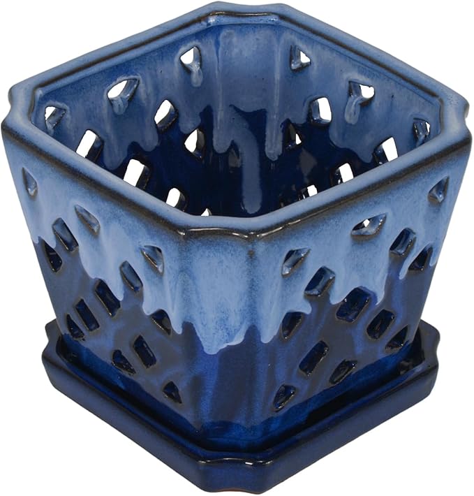 W&W Orchid Pot with Holes and Saucer for Repotting and Better Grow, White and Blue, 7 Inches