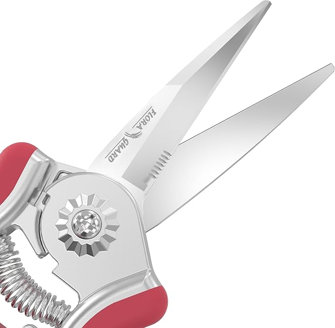 FLORA GUARD 6.5-Inch Floral Scissors, Zinc Alloy with Rubber Handle, Toothed Blade for Quick Cutting, Suitable for Flower Placement, Plant Pruning, Rose or Fruit Picking (Red)