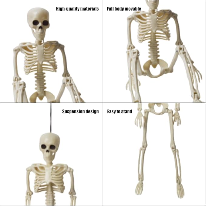6 Pcs Realistic Spooky Scary Skeletons for Halloween, 16 Inch Outdoor Skeletons Decorations, Skeleton Bulk with Movable Joints for Garden Haunted House Props