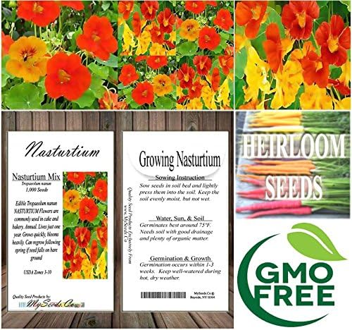 Big Pack - Nasturtium Flower Seed Mix (1,000) - Edible Tropaeolum nanum - Spurred, Flat-Faced Trumpet - Used in Cake & Bakery - Flower Seeds by MySeeds.Co (Big Pack - Nasturtium Mix)