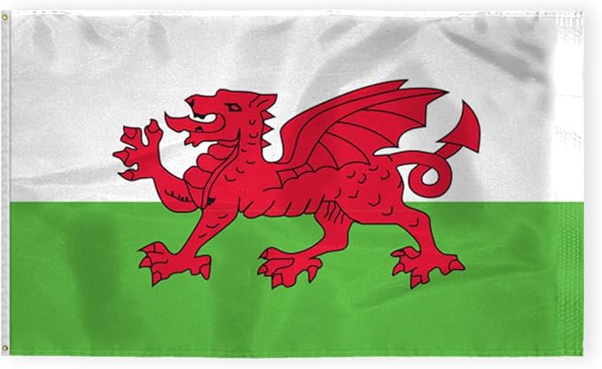 AGAS Wales Flag 6x10 ft 200D Nylon 6 Needle Lock Stitched Fly Hem Never Rust Brass Grommets Canvas Header Large Size Welsh National Flag