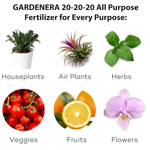 20-20-20 All-Purpose Fertilizer - A Premium Foliar Feed for Thriving Plants - 3 Quart