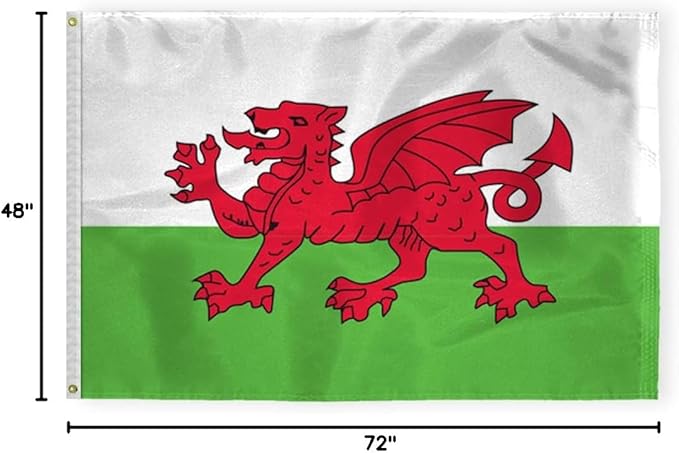 AGAS Wales Flag 4x6 ft 200D Nylon 4 Needle Lock Stitched Fly Hem Never Rust Brass Grommets Canvas Header Welsh National Flag