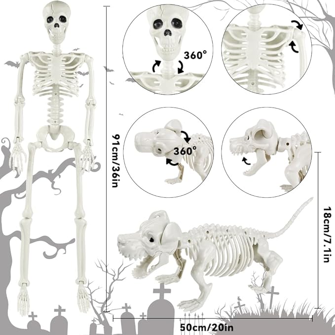 YUJUN 36'' Halloween Skeleton Decoration with Dog Skeleton, 3ft Full Body Posable Skeleton Realistic Plastic Bones Movable Joints for Halloween Party Yard Haunted House Props Indoor Outdoor Decor