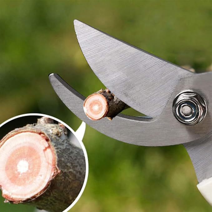 BUGUI Bypass Garden Pruning Shears - 2 Pack, Ultra Lightweight Hand Pruners Make Cut Smooth & Clean, Professional Gardening Scissors for Cutting Live Flowers, Plants, Light Branches