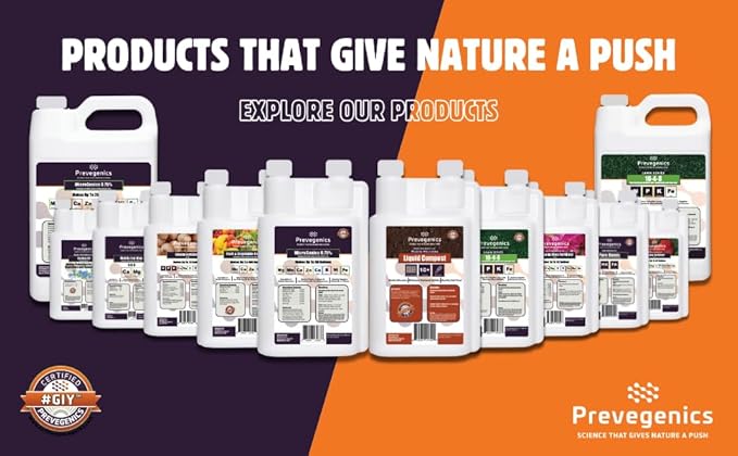 Zin-BOR Liquid Fertilizer | (16 fl. oz.) | Zinc and Boron Liquid Fertilizer for Plants | Aids in Increasing Protein Content, Fruit Weight, Flower Development and Quality, and Corrects Deficiencies
