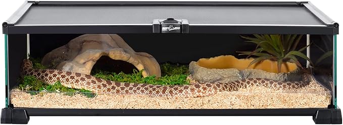 REPTIZOO Small Reptile Tank 20" x 12" x 6" Glass Reptile Terrarium with Top Feeding Habitat for Snake Spider