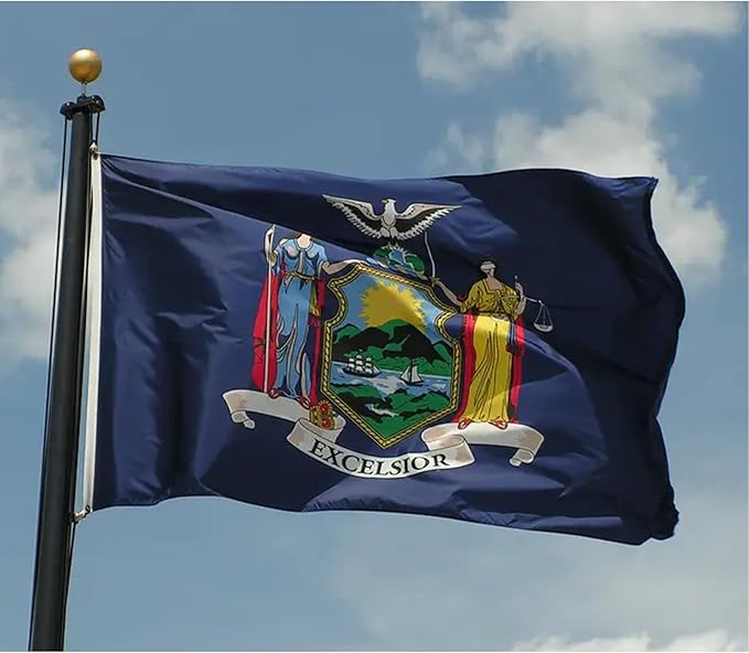 Bradford New York State Flag 3x5 feet Outdoor, 3 Ply Polyester Double Sided New York Flags Heavy Duty, NY State Flags with 2 Brass Grommets for Outsides House Long Lasting