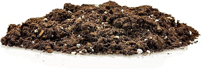 Premium Dracaena Potting Soil Mix - (10 Quart Bag)