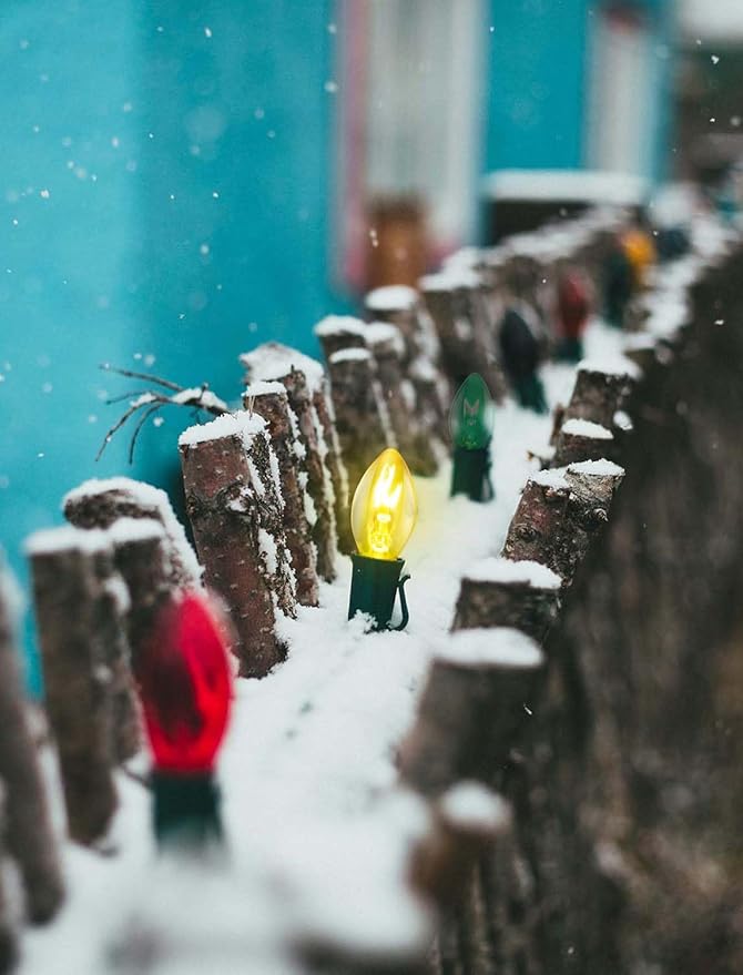 C7 Christmas Lights Outdoor, 25Ft Vintage Christmas String Lights with 27 Multicolor Clear Bulbs, Hanging Christmas Decorations Lights for Roofline House Garden Patio Backyard Party-Green