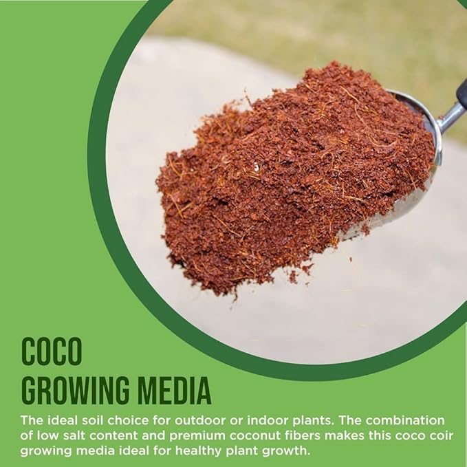 Coco Coir Chips 4-Pack Envelor 2.4 Cu. Ft. Compressed Coconut Coir Bricks 10 lb. Natural Substrate for Indoor Outdoor Coco Chips for Plants Orchid Bark Coco Coir Brick Plant Soil Indoor Potting Mix