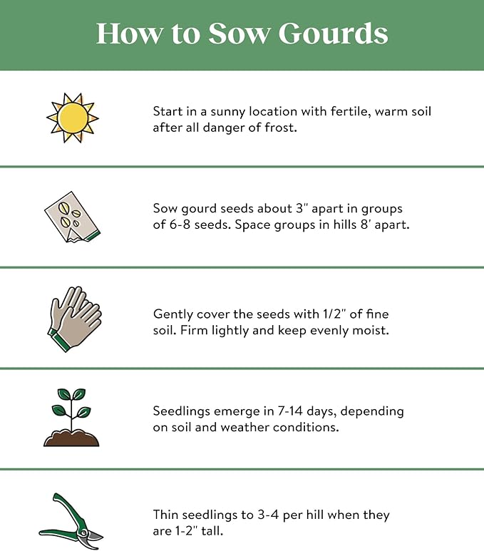 Burpee Ornamental Big Gourds Mix Gourd Seeds 25 seeds