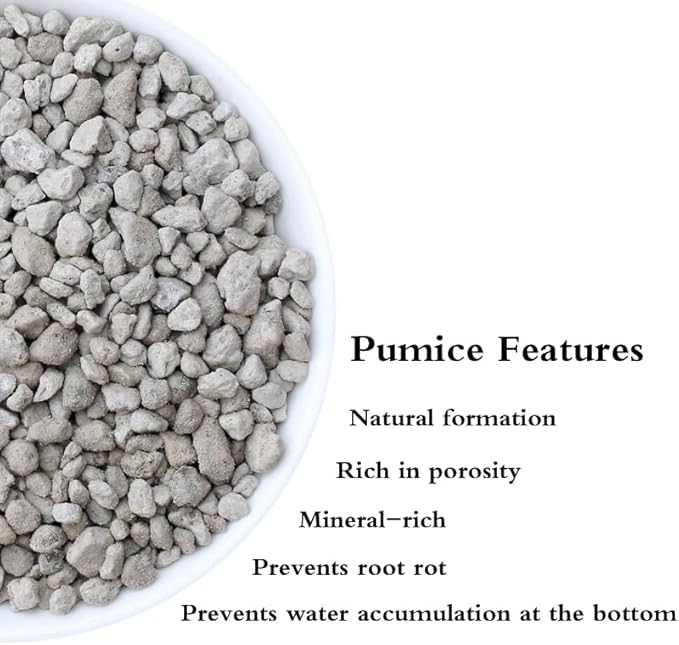 Voulosimi Garden Pumice Rock Horticultural Cactus Bonsai Succulent Soil Additive for Plants, Landscaping, Vase Fillers (1/2 inch, 10 LB)
