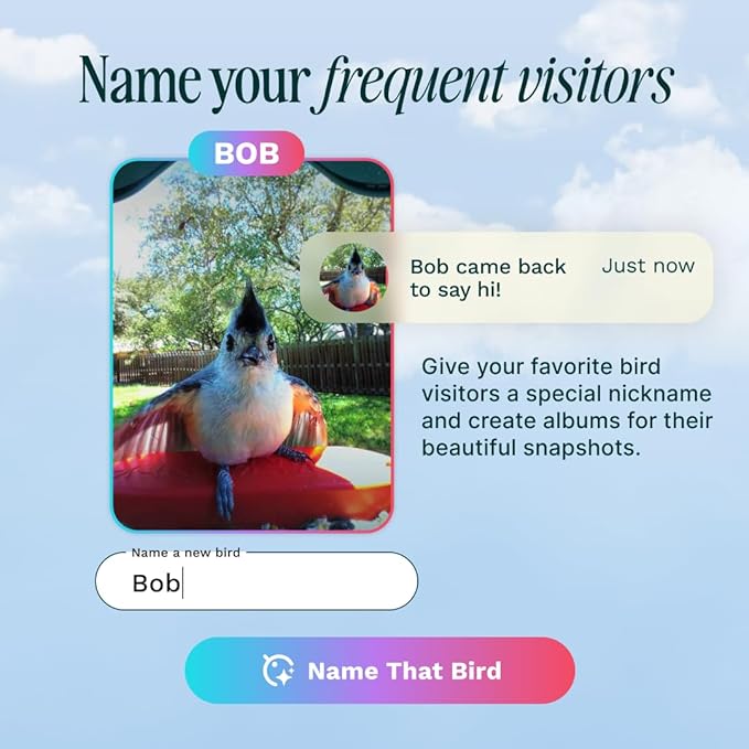 Bird Buddy Solar Smart Bird Feeder with Camera - AI Bird Species Identification, 5MP Photos, 2K HD Video Live Stream Camera, Solar-Powered Charging, 2.8in Focus - Blue