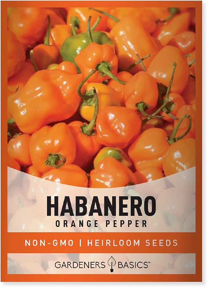 Gardeners Basics, Orange Habanero Pepper Seeds for Planting Heirloom Non-GMO Hot Habanero Peppers Plant Seeds for Home Garden Vegetables Makes a Great Gift for Gardeners
