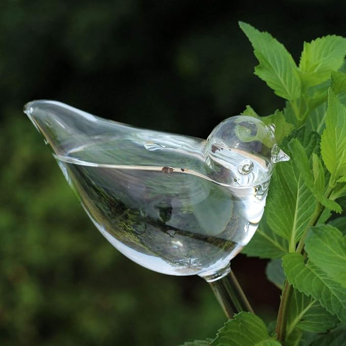 Mkono Plant Waterer Bulbs Self Watering Globes Automatic Watering Stakes Bird Shape Design Hand Blown Clear Glass Plant Water Drippers Irrigation Devices for Indoor and Outdoor Plants, Set of 6