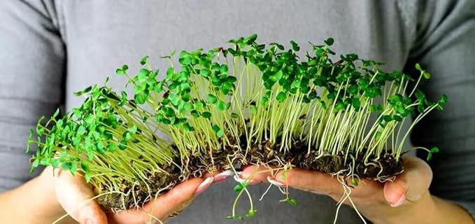 Premium Organic Microgreens Potting Mix by Gardenera - 10 Quart - The Ultimate Recipe for Nutrient-Dense Greens - (2 Bags of 5QT)