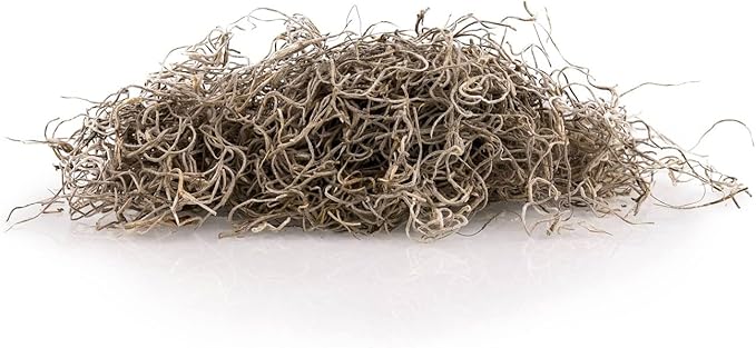Gardenera Premium Natural Spanish Moss | Natural Preserved - Great Ground Cover - Filler for Potted Plants - 4 Quart Bag