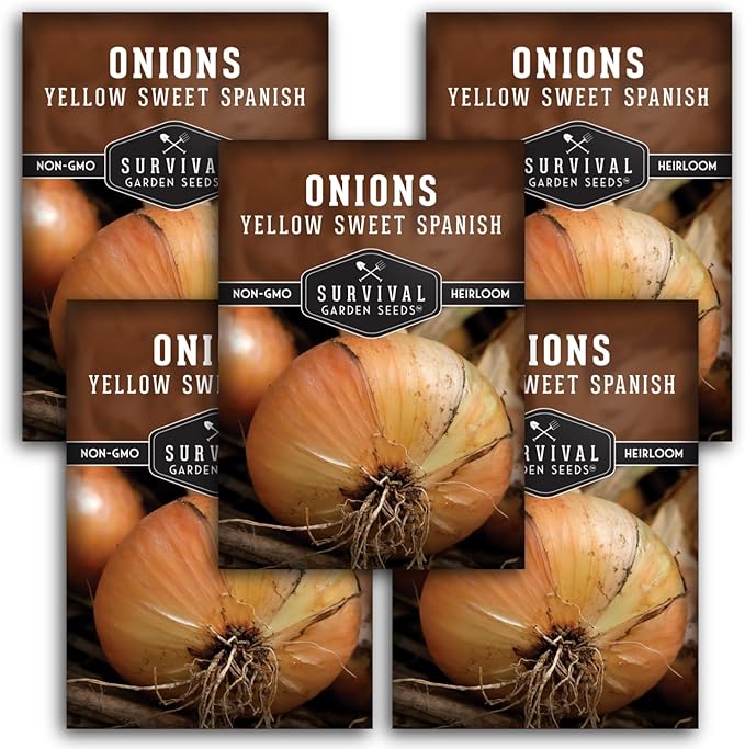 Yellow Sweet Spanish Onion Seed for Planting - 5 Packets with Instructions to Plant and Grow Long Day Onions in Your Home Vegetable Garden - Non-GMO Heirloom Variety - Survival Garden Seeds