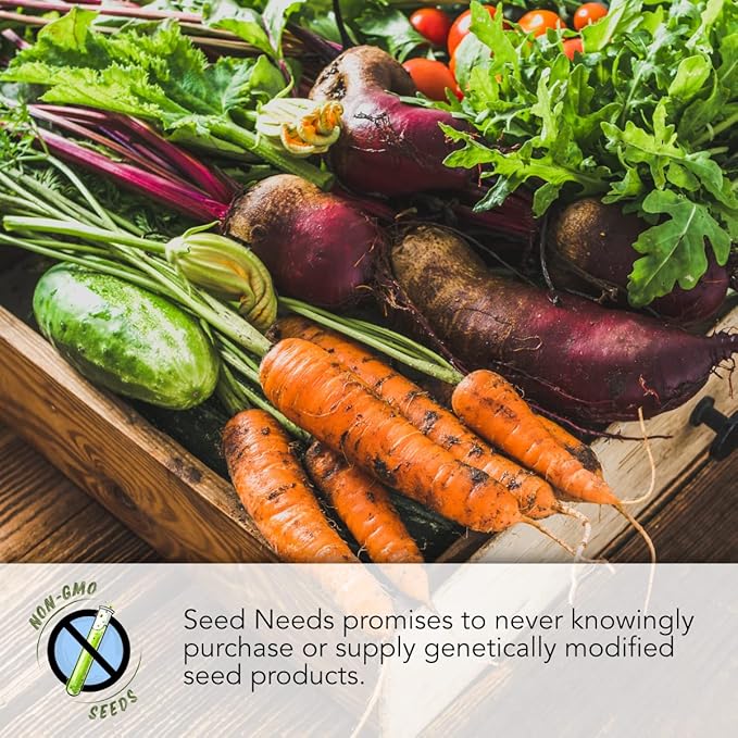 Seed Needs Tomatillo Seeds for Planting Variety Pack - Heirloom, Non-GMO & Untreated - Grow an Outdoor Vegetable Garden (3 Packs)