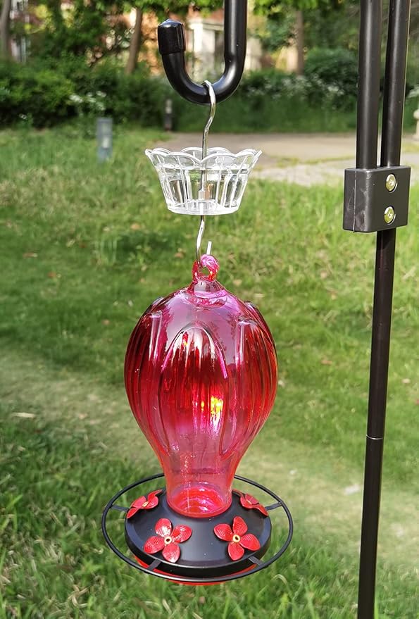 Ant Moat for Hummingbird Feeder - 3 OZ x 4 Pack Clear Insect Guard with Large Capacity