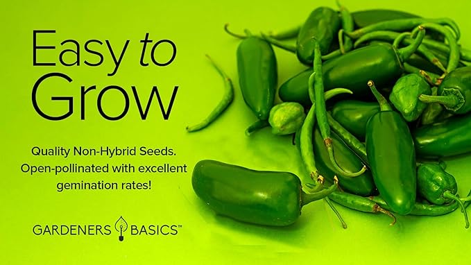 Gardeners Basics, Jalapeno Pepper Seeds for Planting Heirloom Non-GMO Jalapeno Peppers Plant Seeds for Home Garden Vegetables Makes a Great Gift for Gardeners