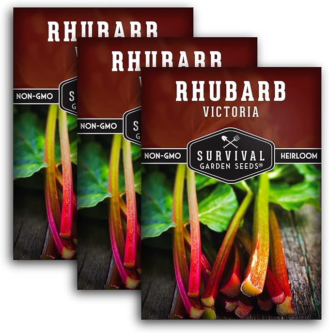 Survival Garden Seeds - Victoria Rhubarb Seed for Planting - 3 Packets with Instructions to Plant and Grow Cold-Tolerant Perennial Spring Vegetables in Your Home Garden - Non-GMO Heirloom Variety