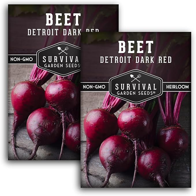 Survival Garden Seeds - Detroit Dark Red Beet Seed for Planting - 2 Packs with Instructions to Plant & Grow Delicious Root Vegetables in Your Home Vegetable Garden - Non-GMO Heirloom Variety Seed
