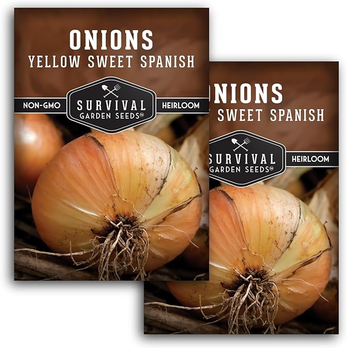 Yellow Sweet Spanish Onion Seed for Planting - 2 Packets with Instructions to Plant and Grow Long Day Onions in Your Home Vegetable Garden - Non-GMO Heirloom Variety - Survival Garden Seeds
