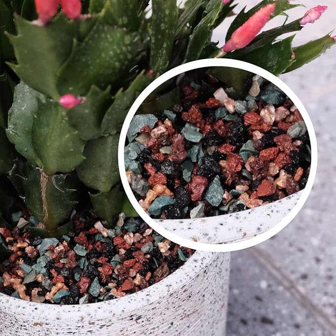 10LB Mix Lava Rocks for Plant Gravel Pebbles for Bonsai Succulent Potting Soil, Top Dressing and Terrarium Plants,
