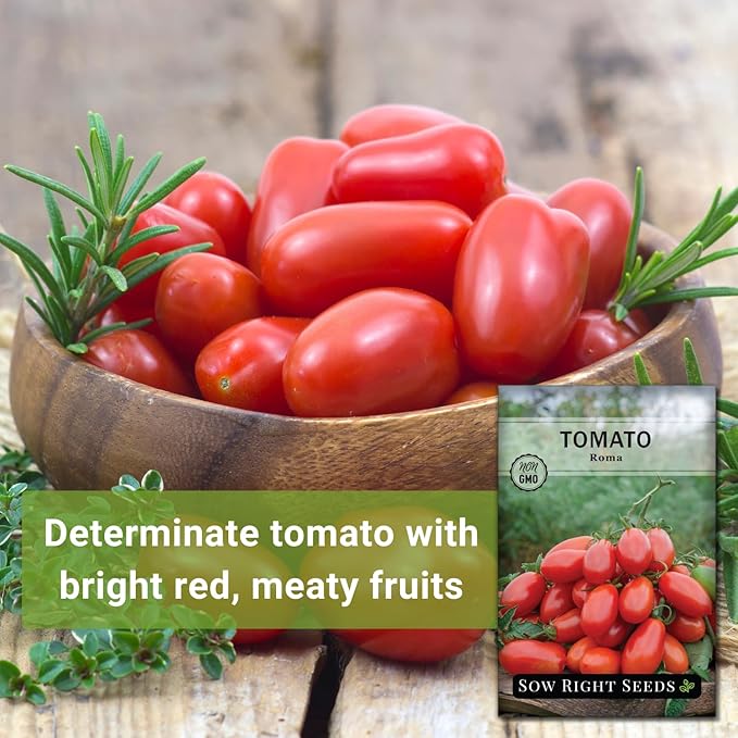 Sow Right Seeds - Roma Tomato Seeds for Planting - Non-GMO Heirloom Packet with Instructions to Plant a Home Vegetable Garden - Classic Medium Red Tomato - Great for Sauce Making (2)