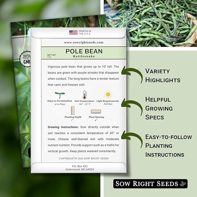 Sow Right Seeds - Rattlesnake Pole Bean Seeds for Planting - Non-GMO Heirloom Packet with Instructions to Plant an Outdoor Home Vegetable Garden - Stringless Variety - Tender with Purple Streaks (1)