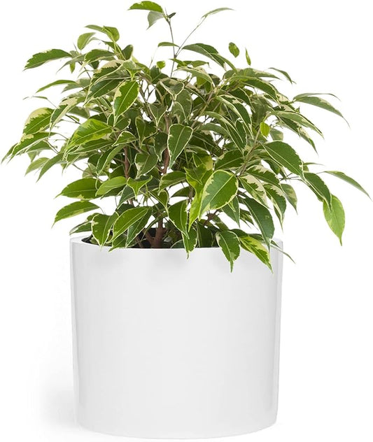 Fox & Fern 10 Inch Plant Pot with Drainage Plug — Premium Lightweight Fiberstone Glossy White Planter; Indoor & Outdoor Planter; 10 Inch Pots for Plants; Weather Resistant & UV Resistant