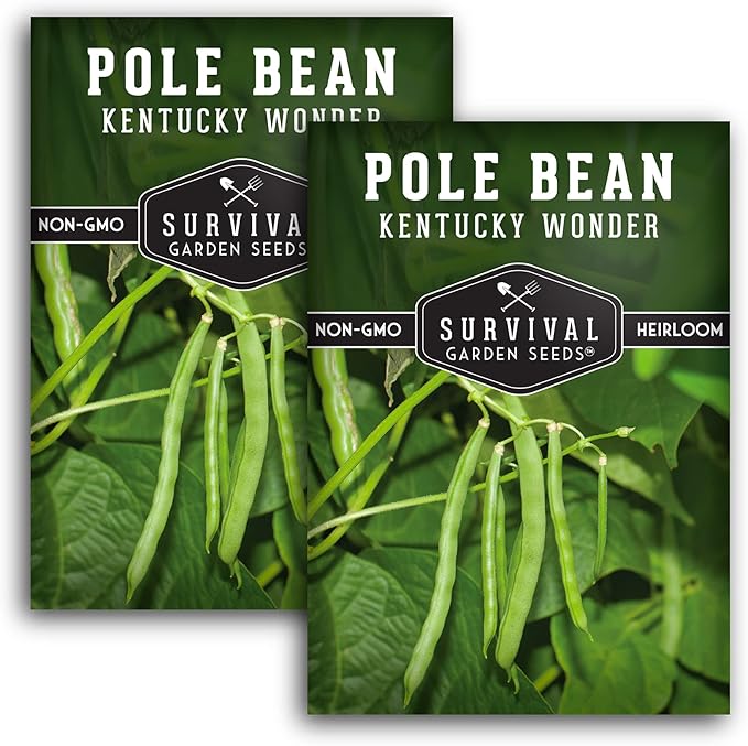 Survival Garden Seeds - Kentucky Wonder Pole Bean Seed for Planting - 2 Packs with Instructions to Plant and Grow Green Snap Beans in Your Home Vegetable Garden - Non-GMO Heirloom Variety