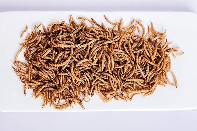 kimoe Bulk Dried Mealworms 10LB 100% Natural Non-GMO Dried Mealworms -High-Protein for Birds, Chicken，Ducks