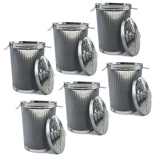 Plexon Metal Trash Can with Lid Outdoor 20 Gallon Galvanized Steel Garbage Bucket with Lid Silver, 6 Pack