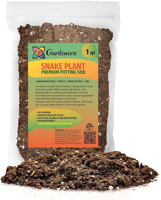 Premium Snake Plant Potting Soil Mix, Green Sansevieria Trifascatia Zeylanica Plants, Plant or Re-Pot Your Snake Plant - (1 Quart Bag)