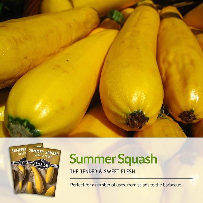 Survival Garden Seeds - Straightneck Summer Squash Seed for Planting - 2 Packs with Instructions to Plant and Grow Yellow Squash in Your Home Vegetable Garden - Non-GMO Heirloom Variety - Seed Vault