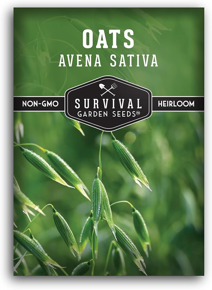 Survival Garden Seeds - Oat Seed for Planting - 1 Pack with Instructions to Plant & Grow Avena Sativa in Your Home Vegetable or Herb Garden - Medicinal Herb & Cover Crop - Non-GMO Heirloom Variety