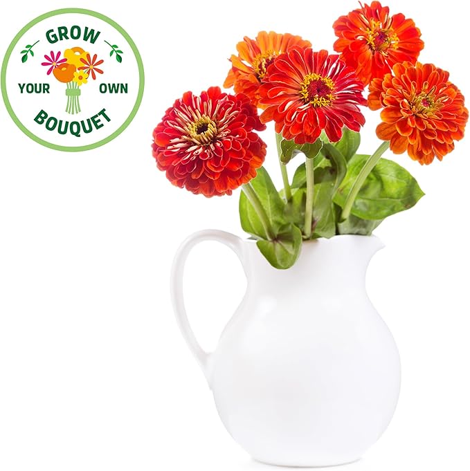 Back to the Roots Organic Zinnia Flower Grow Kit with Plantable Starting Pot Soil and Seeds