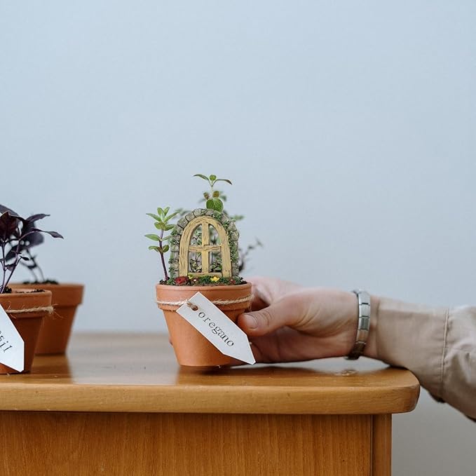DOITOOL 2Pcs Miniature Fairy Garden Window,Artificial Window Ornament Miniature Fairy Doors Gnome Home Decoration,Resin Landscape Yard Art Garden Sculpture Fish Tank Decoration