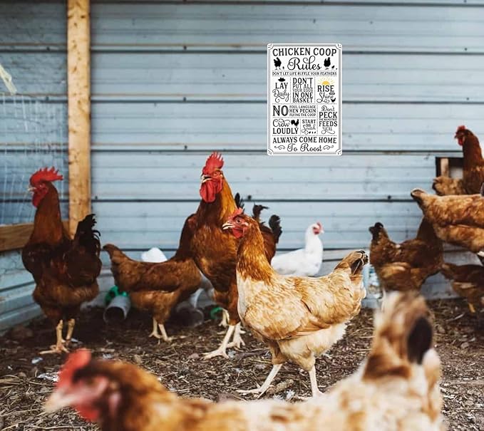 Funny Chicken Gifts Chicken Coop Rules Tin Sign for Home Farm Chicken Coop Farmhouse Kitchen Garden Decor 8 X 12 Inch (‌3720)