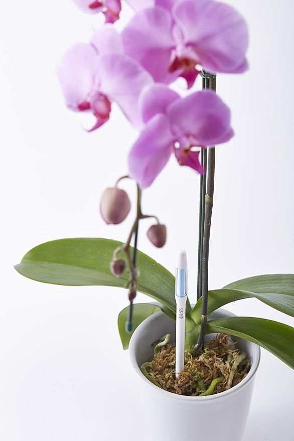 Aquameter, White, Small - Plant Soil Moisture Sensor - Best for Potted Plants - Refillable Style