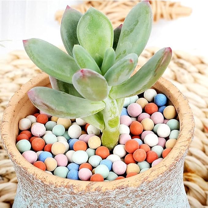 6LBS Garden Soil,Clay Pebbles Gardening Ceramsite Orchid Rocks Drainage Water Purification Ceramsite Decor Cultivation Soil Stone Horticultural Grade for Soil Hydroponics Aquaponics,Diameter 8-10mm